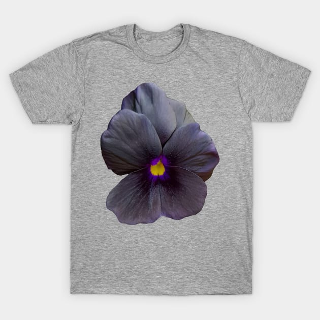 Black Viola Flower Photo T-Shirt by ellenhenryart